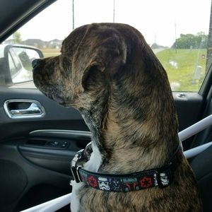 Meet your Posher, Derrick